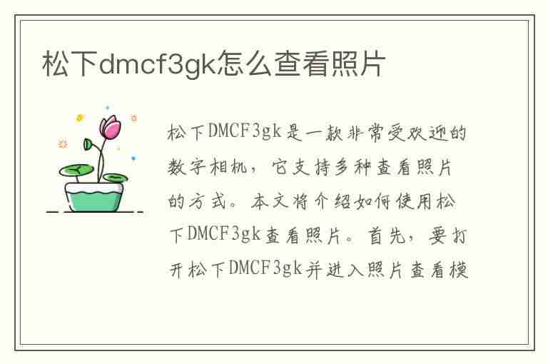 松下dmcf3gk怎么查看照片